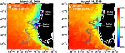 Argo Float Reveals Biogeochemical Characteristics Along the Freshwater Gradient Off Western Patagonia